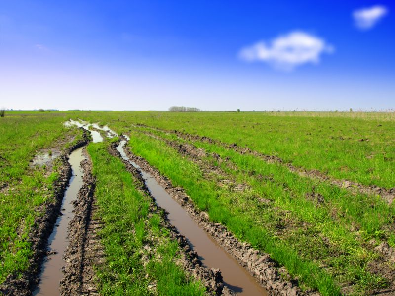 Yard Leveling Before and After